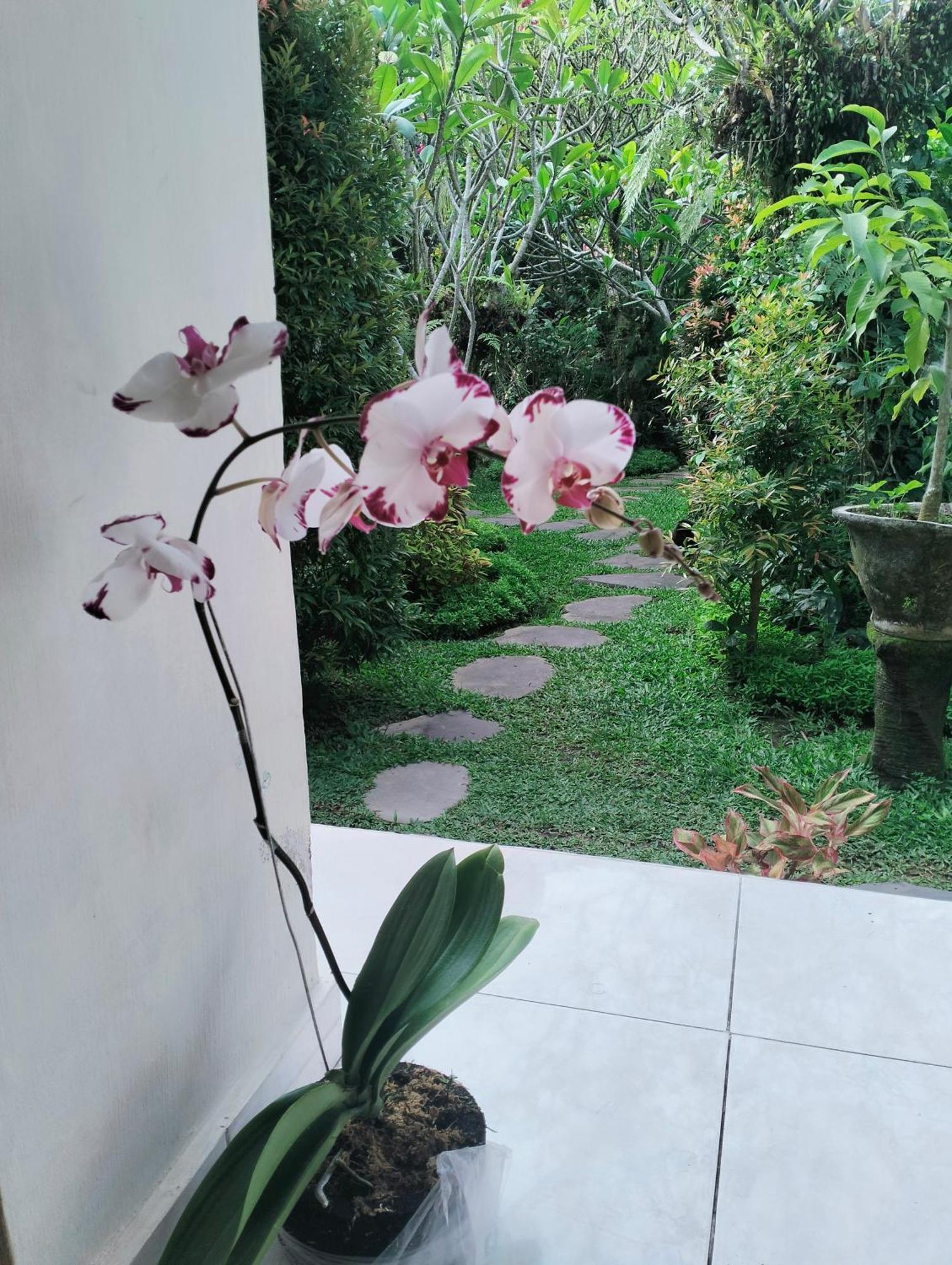 Cucu House Appartement Ubud Buitenkant foto